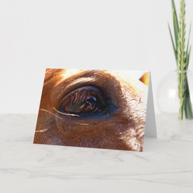 Tarjeta Reflexión en el ojo de caballo (Anverso)