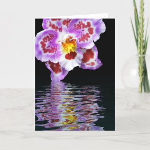 Tarjeta Reflexión Orquídea