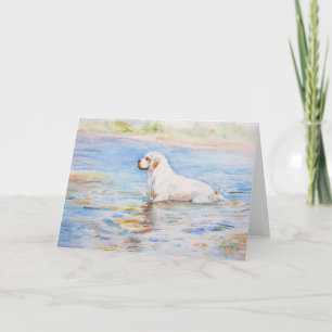 tarjeta - reflexión - perro de aguas de Clumber