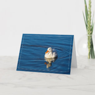 Tarjeta Reflexiones del Pato Blanco