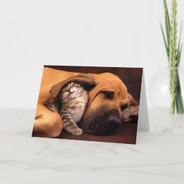 Tarjeta Refugio de Gimme…