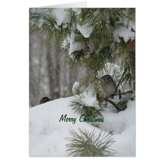 Tarjeta Refugio del navidad de los pájaros