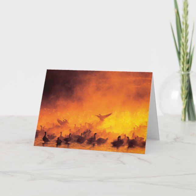 Tarjeta Refugio Nacional de Vida Silvestre Bosque del Apac (Anverso)