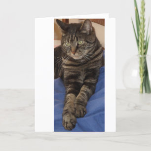 Tarjeta Regal Dave Greeting Cards