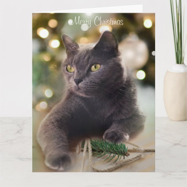 Tarjeta Regal Gato Gris con vacaciones de Navidades (Anverso)