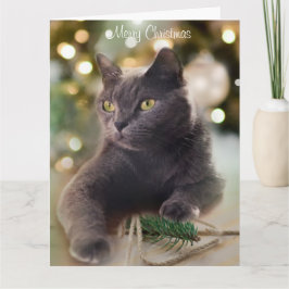 Tarjeta Regal Gato Gris con vacaciones de Navidades
