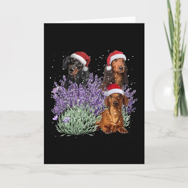 Tarjeta Regalo de Navidad de Flor de Lavanda para Dachshun (Anverso)