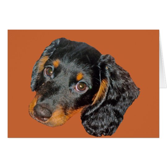 Tarjeta Regalo de pelo largo del Dachshund