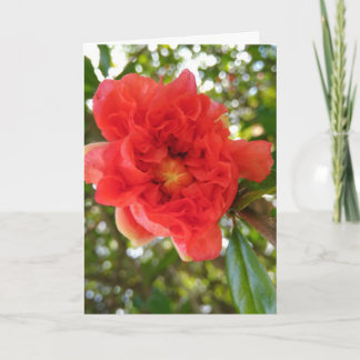 Tarjeta Regalo del Día de la Madre "AMORosa MAMÁ"