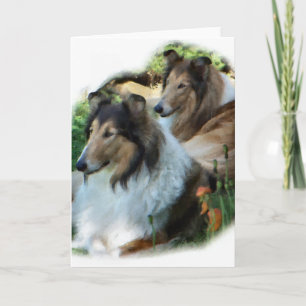 Tarjeta Regalos ásperos del arte del collie
