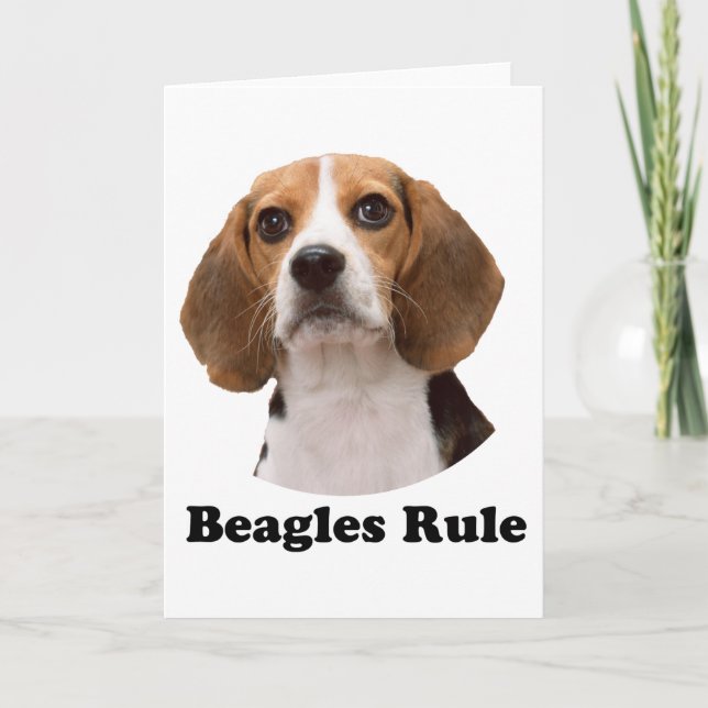 Tarjeta Regla de Beagles (Anverso)