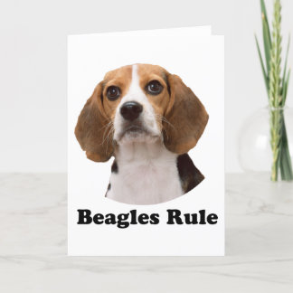Tarjeta Regla de Beagles