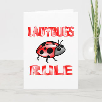 TARJETA REGLA DE LADYBUGS