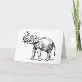 Tarjeta Regla de los Elefantes