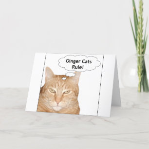 Tarjeta ¡Regla de los gatos del jengibre!