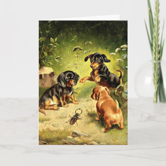 Tarjeta Reichert - Cachorros de Dachshund en juego (Anverso)