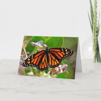 Tarjeta Reina de Naranja