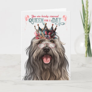 Tarjeta Reina de perro de Bergamasco por un cumpleaños gra