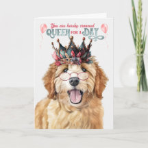 Reina de perro de Goldendoodle por un día de cumpl