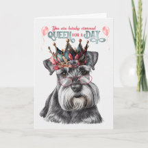 Reina de Schnauzer en miniatura por un día de cump