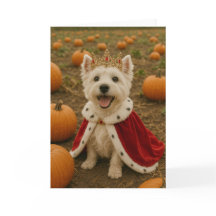 Reina occidental en Halloween
