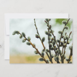 Tarjeta religiosa de Pascua con ramas Pussy Willow
