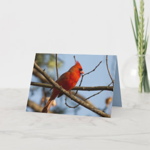 Tarjeta Reloj de Redboy