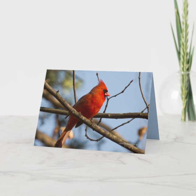 Tarjeta Reloj de Redboy (Anverso)