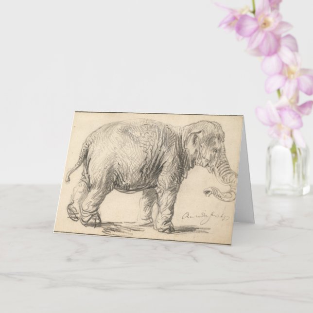Tarjeta Rembrandt, un elefante, 1637, Bella Artes (Orquídea)