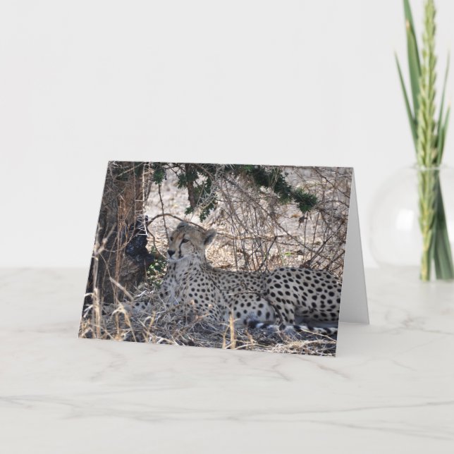 Tarjeta Remetido lejos (Anverso)