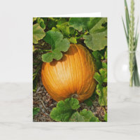 Remiendo de la calabaza