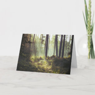 Tarjeta Remiendo de la maleza del bosque en el bosque