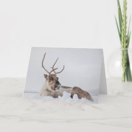 Tarjeta Reno en foto de nieve