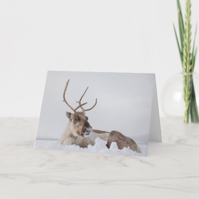 Tarjeta Reno en foto de nieve (Anverso)