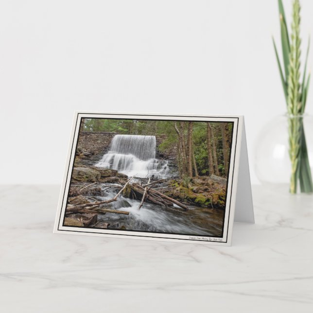 Tarjeta Represa de Stametz (Anverso)