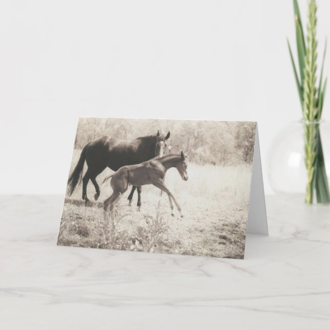 Tarjeta Reproducción de puntos (Anverso)