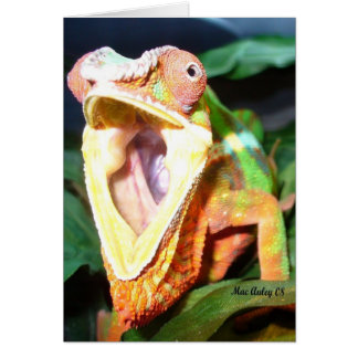tarjeta reptil