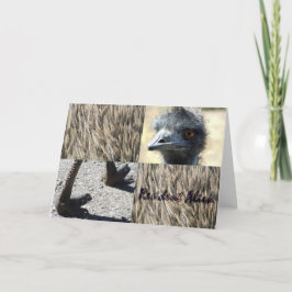Tarjeta Residente Alien