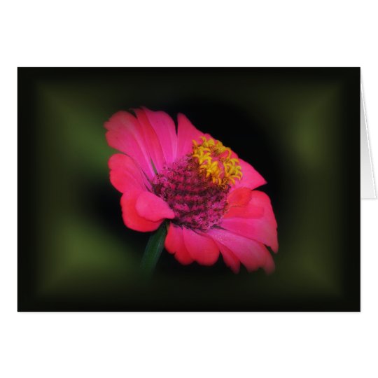 Tarjeta Resplandor rosado del Zinnia