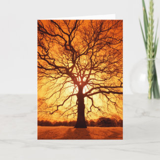 Tarjeta Resplandor solar