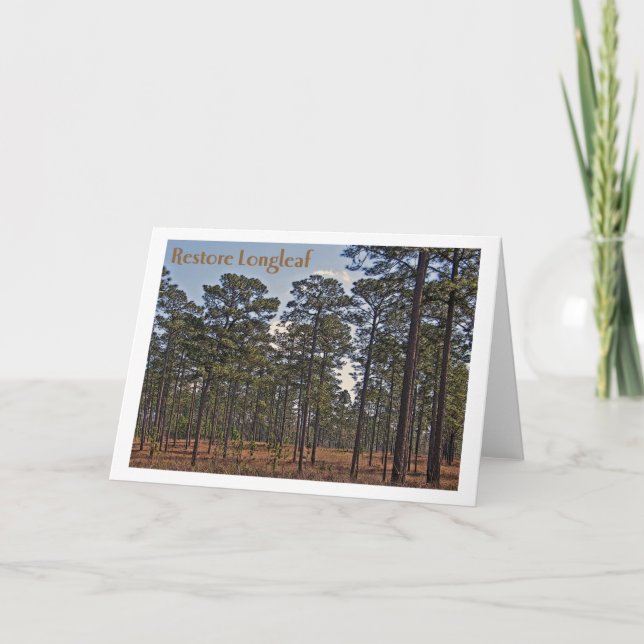 Tarjeta Restablecimiento Longleaf (Anverso)