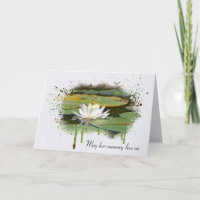 Resumen de Sympathy Water Lily