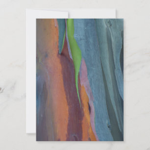 Tarjeta Resumen Del Árbol De Goma Arcoiris