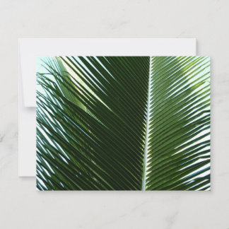 Tarjeta Resumen verde tropical de palmeras que se abruman
