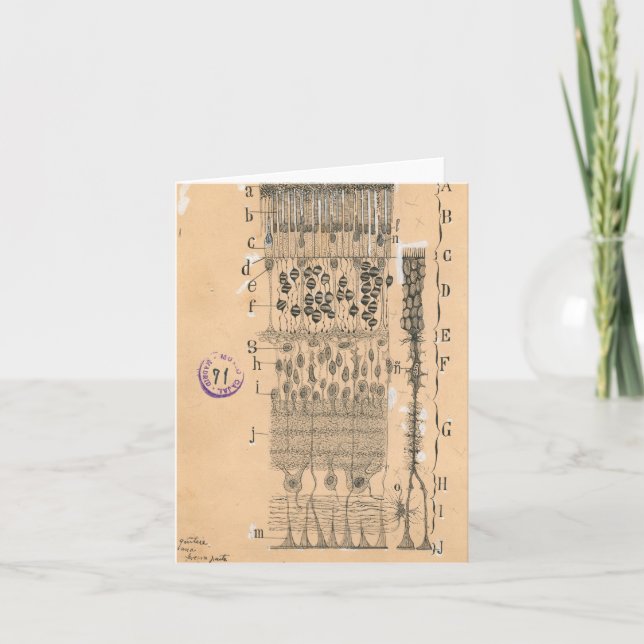 Tarjeta Retina de ojos de dibujo celular Santiago Ramon Y  (Anverso)