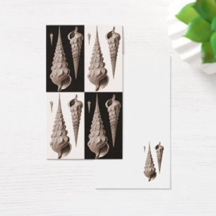 Tarjeta retra del perfil de los Seashells