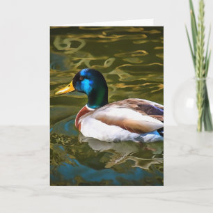 Tarjeta Retrato artístico del pato mallard