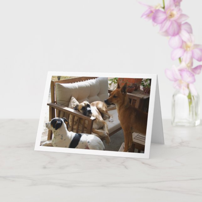 Tarjeta Retrato chillón de tres perros (Orquídea)