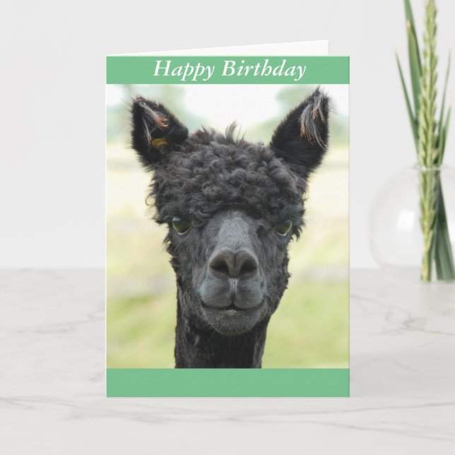 Tarjeta Retrato de Alpaca (Anverso)