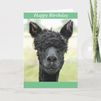 Tarjeta Retrato de Alpaca